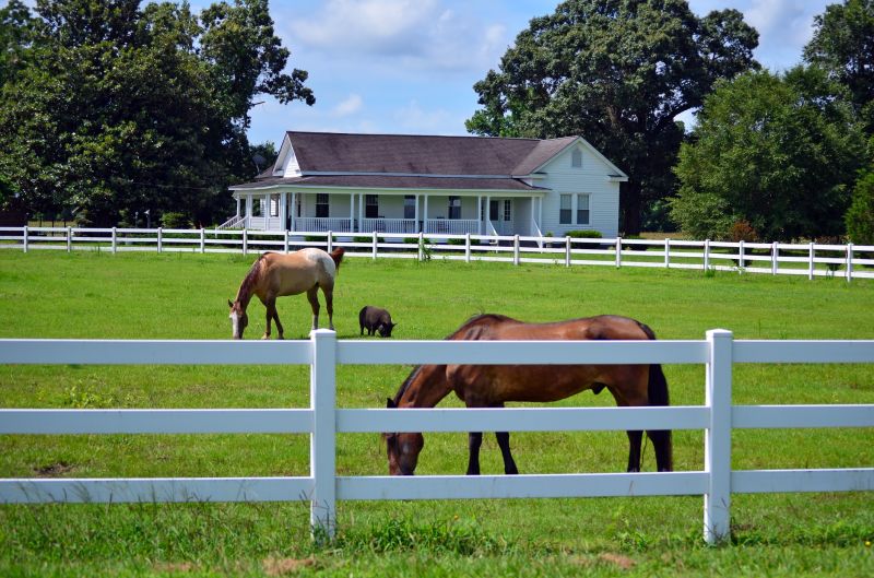 Farm Fencing Installation
